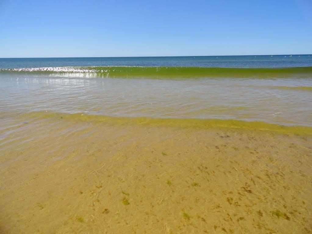 Guadiana Διαμέρισμα Μόντε Γκόρντο Εξωτερικό φωτογραφία